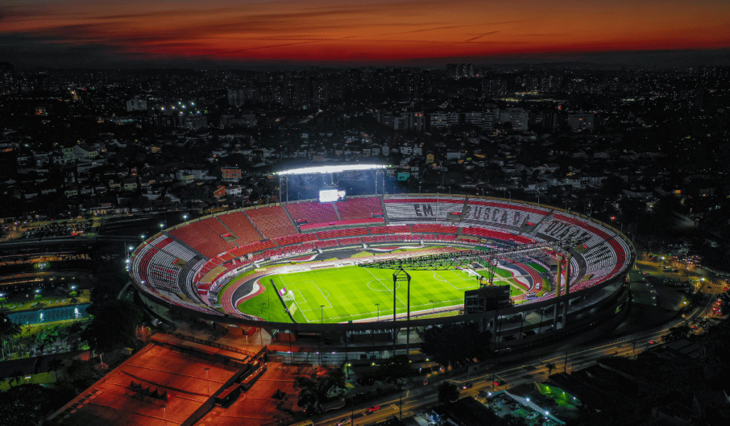 The Largest Stadiums in America: Giants of Sports and Spectacle | The Business Vision Magazine