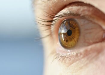 20 20 20 Rule — Simple Eye Care to Prevent Digital Eye Strain | The Business Vision Magazine