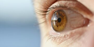 20 20 20 Rule — Simple Eye Care to Prevent Digital Eye Strain | The Business Vision Magazine