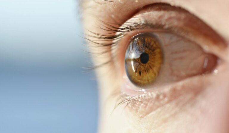 20 20 20 Rule — Simple Eye Care to Prevent Digital Eye Strain | The Business Vision Magazine