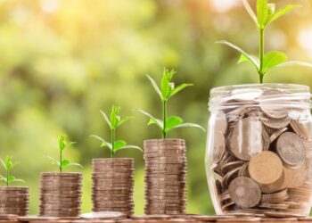 Best Investment Strategies for Beginners: Your Complete 2025 Guide | The Business Vision Magazine