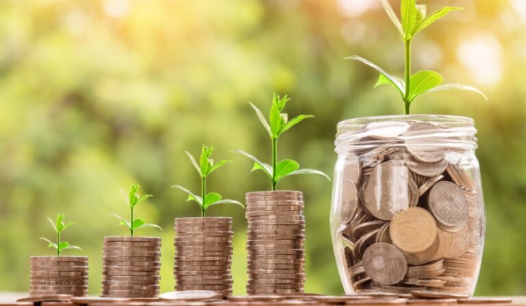 Best Investment Strategies for Beginners: Your Complete 2025 Guide | The Business Vision Magazine