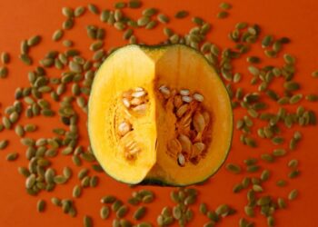 Pumpkin Seeds Benefits: A Complete Guide to This Powerful Superfood | The Buiness Vision Magazine